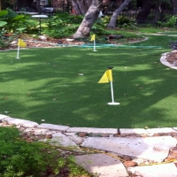 Artificial Grass Carpet Amsterdam, Ohio Roof Top, Beautiful Backyards