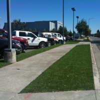 Artificial Grass Carpet Granville South, Ohio Landscape Photos, Commercial Landscape