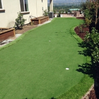 Artificial Grass Riverside, Ohio Lawn And Garden, Backyard Garden Ideas