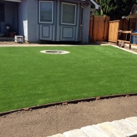 Artificial Turf Carbon Hill, Ohio Roof Top, Front Yard Landscaping Ideas