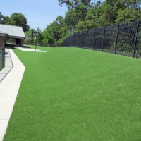 Artificial Turf Cost East Fultonham, Ohio Lawn And Garden, Commercial Landscape