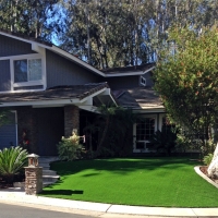 Artificial Turf Cost Yellow Springs, Ohio Rooftop, Front Yard Landscape Ideas