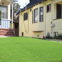 Best Artificial Grass Edison, Ohio Landscape Photos, Front Yard Design