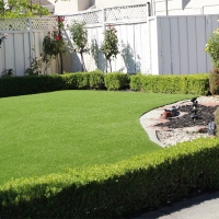 Fake Grass Carpet Cridersville, Ohio Rooftop, Backyard Ideas