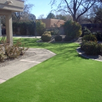 Fake Grass Carpet Mount Sterling, Ohio Garden Ideas, Front Yard Landscape Ideas