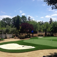 Fake Lawn Glenford, Ohio Putting Green Carpet, Front Yard Landscaping Ideas