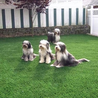 Fake Lawn Newtonsville, Ohio Dog Grass, Backyard Makeover