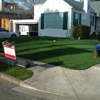 Faux Grass Valley View, Ohio Lawns, Front Yard Landscape Ideas