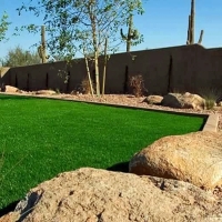 Grass Carpet Fredericksburg, Ohio Backyard Playground, Backyard