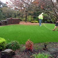 Grass Installation Bexley, Ohio Gardeners, Backyard