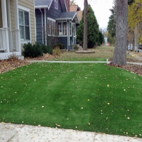 Synthetic Grass Cost Bainbridge, Ohio Gardeners, Front Yard