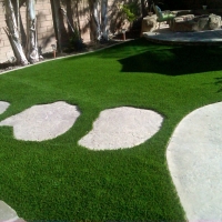 Synthetic Grass Cost Green Camp, Ohio Roof Top, Backyard