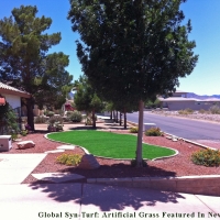 Synthetic Grass Valley View, Ohio Gardeners, Front Yard Landscape Ideas