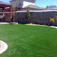 Synthetic Lawn McConnelsville, Ohio Landscape Design, Backyard Designs