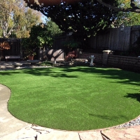 Synthetic Lawn North Robinson, Ohio Lawn And Garden, Backyard Garden Ideas