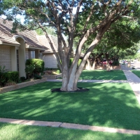 Synthetic Turf Rendville, Ohio Rooftop, Front Yard Landscape Ideas