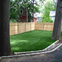 Synthetic Turf Supplier Amesville, Ohio Dog Park, Backyard Garden Ideas