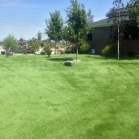 Synthetic Turf Supplier Cardington, Ohio Indoor Dog Park, Parks