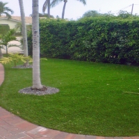 Synthetic Turf Supplier Dresden, Ohio Backyard Deck Ideas, Front Yard Ideas