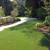 Turf Grass Bourneville, Ohio Rooftop, Backyard Landscape Ideas