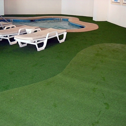 Artificial Grass Buckland, Ohio Landscape Ideas, Natural Swimming Pools