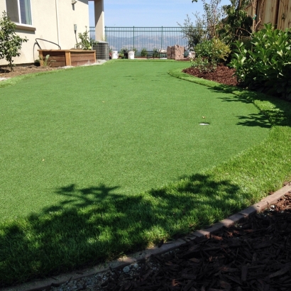 Artificial Grass Installation Gratiot, Ohio Gardeners, Backyards