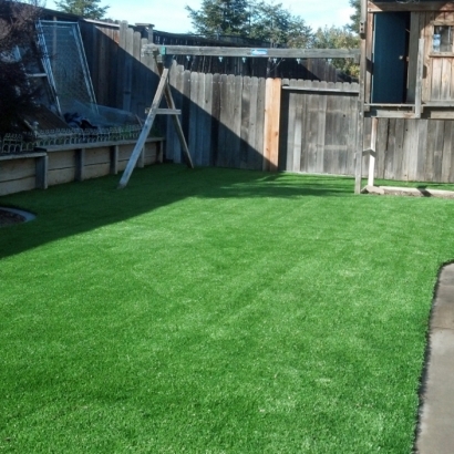 Artificial Lawn Melmore, Ohio Rooftop, Backyard Landscape Ideas