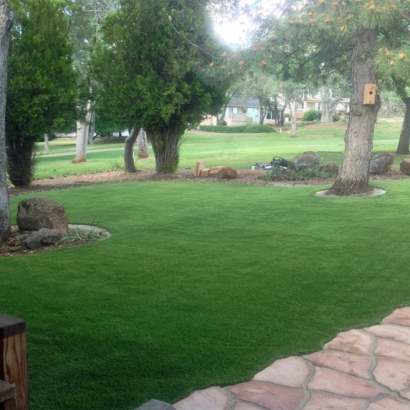 Best Artificial Grass Danville, Ohio City Landscape, Front Yard Landscaping