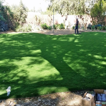 Best Artificial Grass Martinsville, Ohio Landscape Design, Backyards