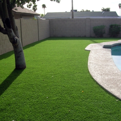 Fake Grass Botkins, Ohio City Landscape, Kids Swimming Pools