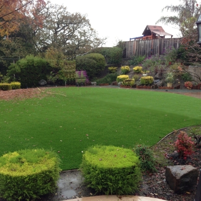 Fake Grass Carpet Brice, Ohio Landscaping Business, Backyard Landscape Ideas