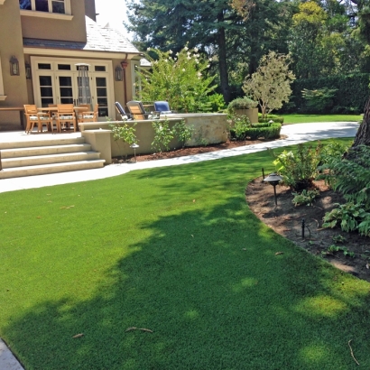 Fake Lawn Port William, Ohio Garden Ideas, Backyard Makeover