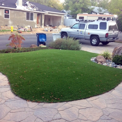 Fake Lawn Westerville, Ohio City Landscape, Front Yard Design