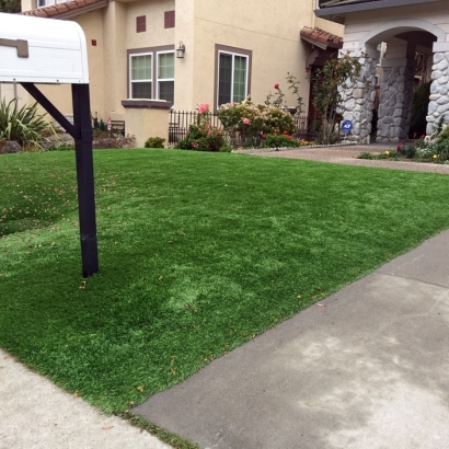 Grass Carpet Milledgeville, Ohio Roof Top, Front Yard Landscape Ideas