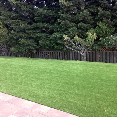 Grass Carpet Waterford, Ohio Design Ideas, Backyards