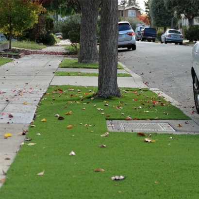 Grass Turf Good Hope, Ohio Landscaping, Landscaping Ideas For Front Yard