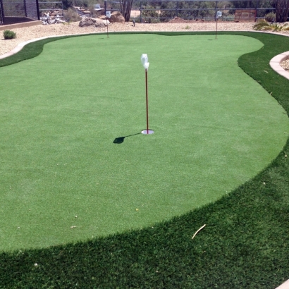 Grass Turf New Haven, Ohio Putting Green Carpet, Beautiful Backyards