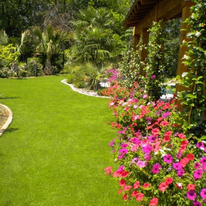 Plastic Grass Fayetteville, Ohio Landscaping Business, Backyard Landscaping Ideas