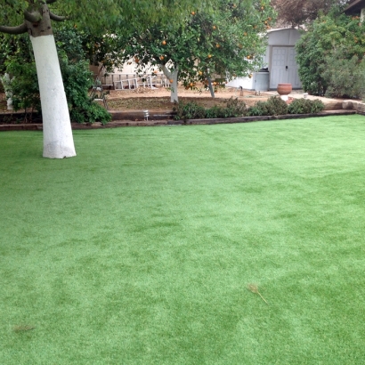 Synthetic Grass Arlington, Ohio Backyard Playground, Beautiful Backyards