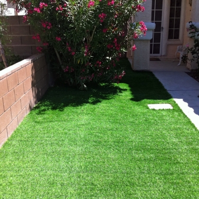 Synthetic Grass Casstown, Ohio Lawn And Garden, Front Yard