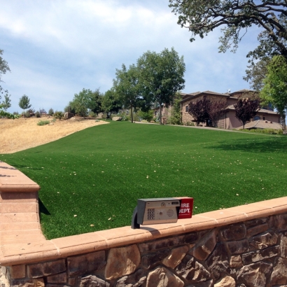 Synthetic Grass Ludlow Falls, Ohio Roof Top, Small Front Yard Landscaping