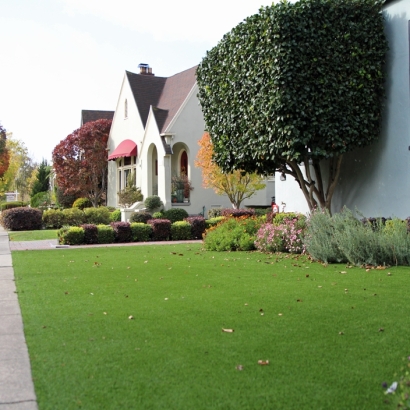 Synthetic Grass Marion, Ohio Garden Ideas, Front Yard