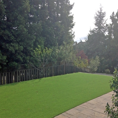 Synthetic Grass Pleasant City, Ohio Lawn And Garden, Backyard Design