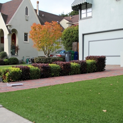 Synthetic Lawn Adelphi, Ohio Lawn And Garden, Front Yard Ideas