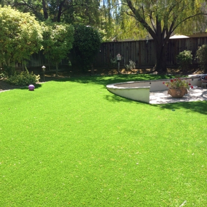 Synthetic Lawn Rushville, Ohio Roof Top, Beautiful Backyards