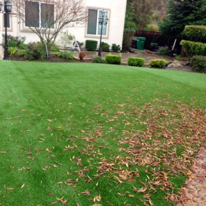 Turf Grass Choctaw Lake, Ohio Landscaping Business, Backyard Landscaping Ideas