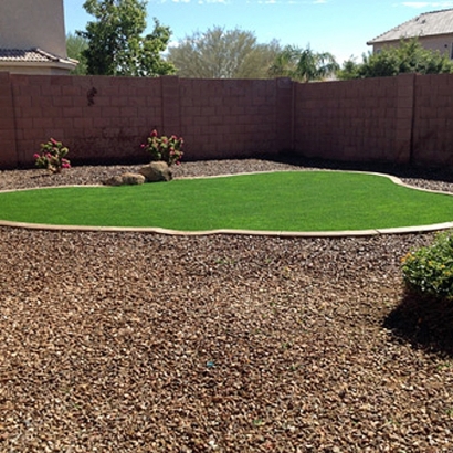 Turf Grass East Fultonham, Ohio Landscaping, Backyard Landscaping