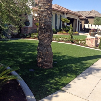 Turf Grass Laurelville, Ohio Lawn And Garden, Front Yard Landscape Ideas