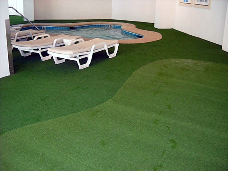 Artificial Grass Buckland, Ohio Landscape Ideas, Natural Swimming Pools