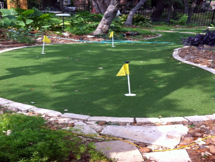 Artificial Grass Carpet Amsterdam, Ohio Roof Top, Beautiful Backyards